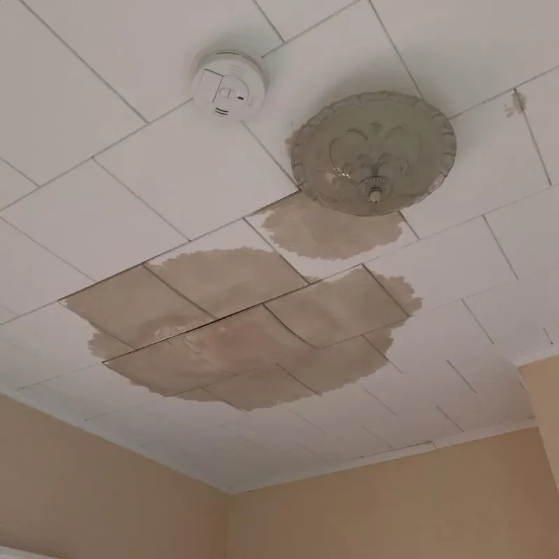 Ceiling Water Damage Repair in Westworth, TX